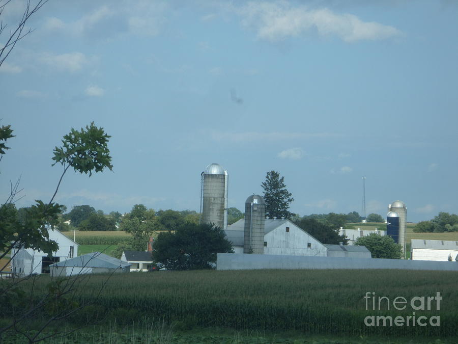 Amish Homestead 170 Photograph By Christine Clark Fine Art America   Amish Homestead 170 Christine Clark 