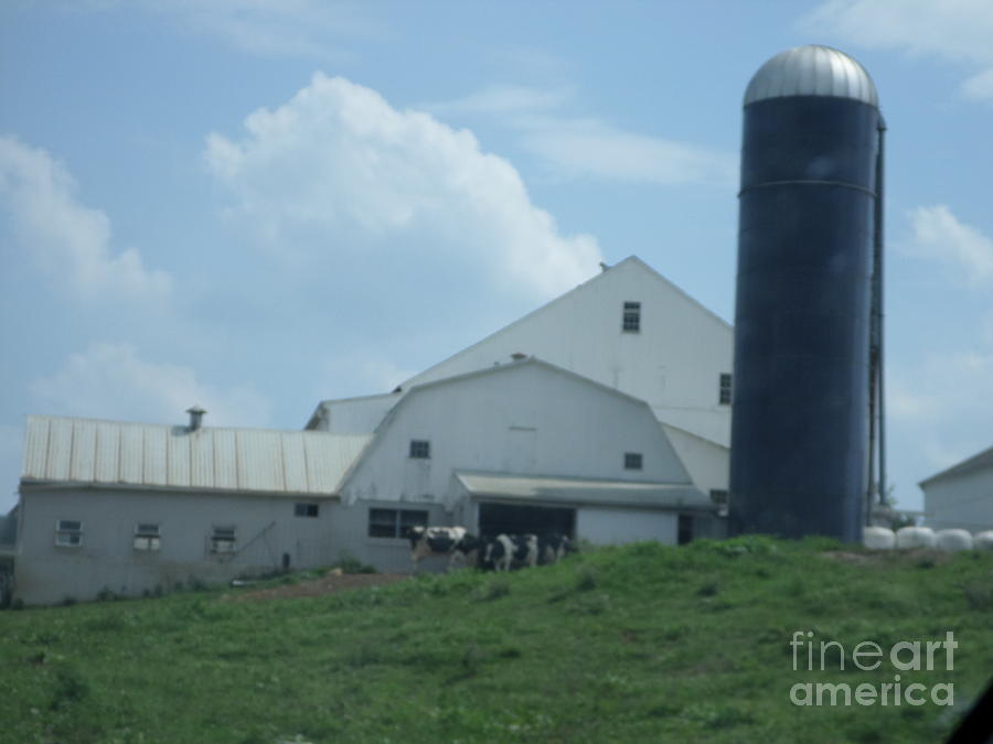 Amish Homestead 29 Photograph By Christine Clark Fine Art America   Amish Homestead 29 Christine Clark 