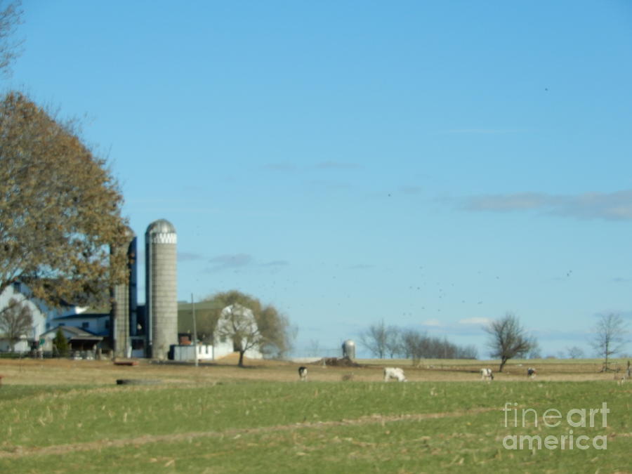 Amish Homestead 75 Photograph By Christine Clark Fine Art America   Amish Homestead 75 Christine Clark 