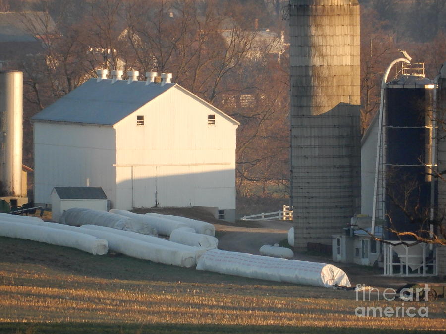 Amish Homestead 81 Photograph By Christine Clark Fine Art America   Amish Homestead 81 Christine Clark 