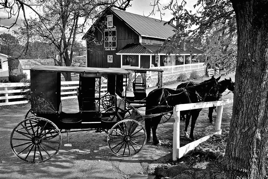 Amish Horse and Buggy in Black and White Photograph by Frozen in Time Fine Art Photography