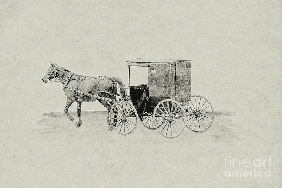 Amish Horse and Buggy Sketch Digital Art by Randy Steele