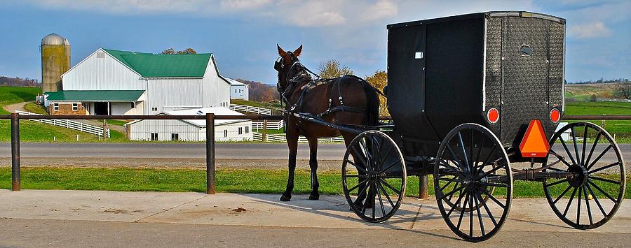 Amish Horse Buggy and Farm Photograph by Frozen in Time Fine Art Photography