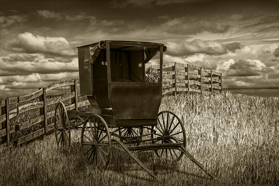 Amish Horse Buggy in Sepia Tone Photograph by Randall Nyhof