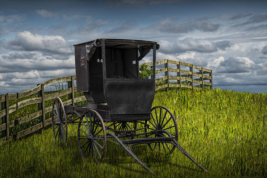 Transportation Photograph - Amish Horse Buggy by Randall Nyhof