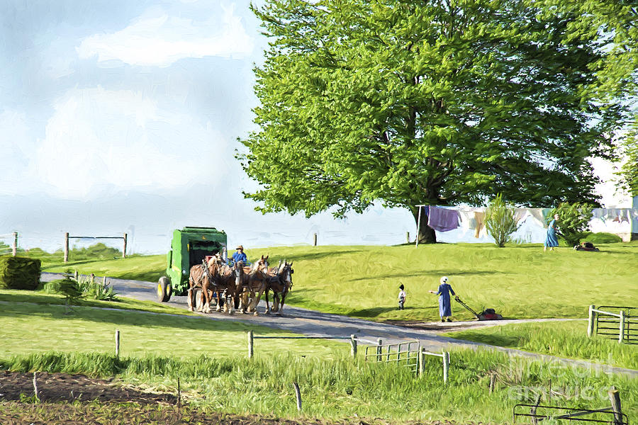 Amish Horses Pulling Hay Baler Photograph by David Arment