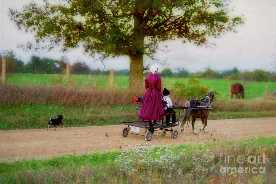 Amish Kids on Pony Cart Photograph by David Arment