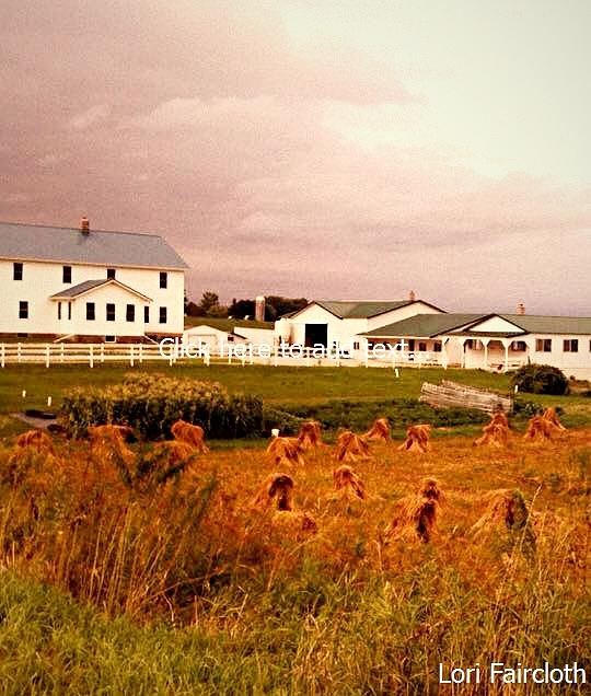 Amish Land Photograph by Lori Faircloth - Fine Art America