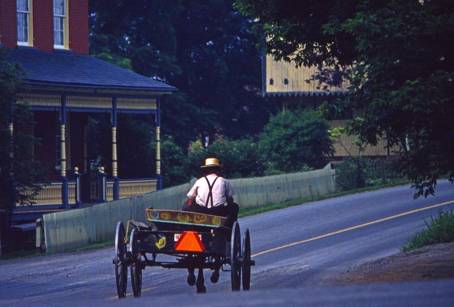 Amish Man Farm Buggy Photograph
