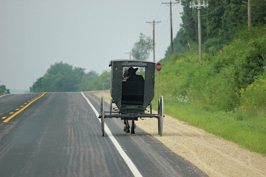 Amish Man in Buggy Photograph by Brook Burling