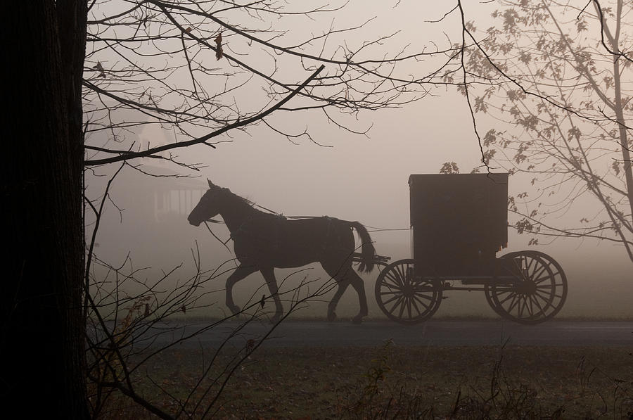 Amish Morning 1 Photograph by David Arment