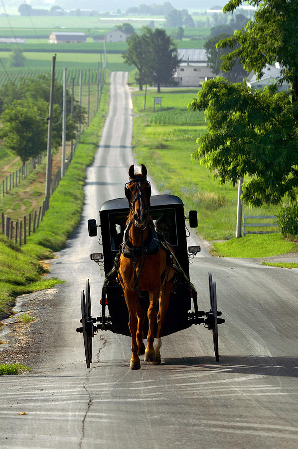 Amish Morning Commute Photograph by Lawrence Boothby