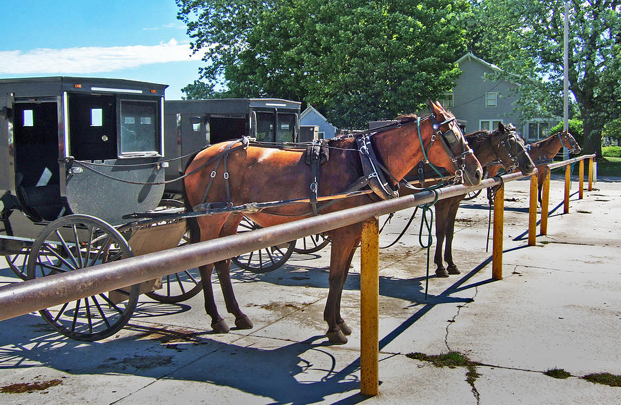 Amish Parking Lot Photograph by Kris Rasmusson