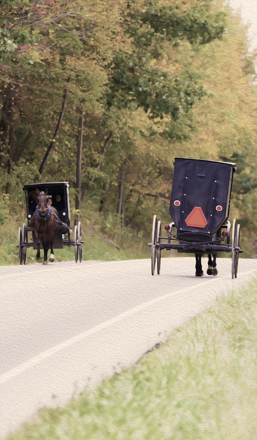 Amish Passing Photograph by Tracy Winter