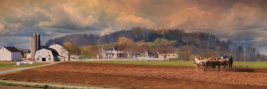 Amish Plow Photograph by Lori Deiter