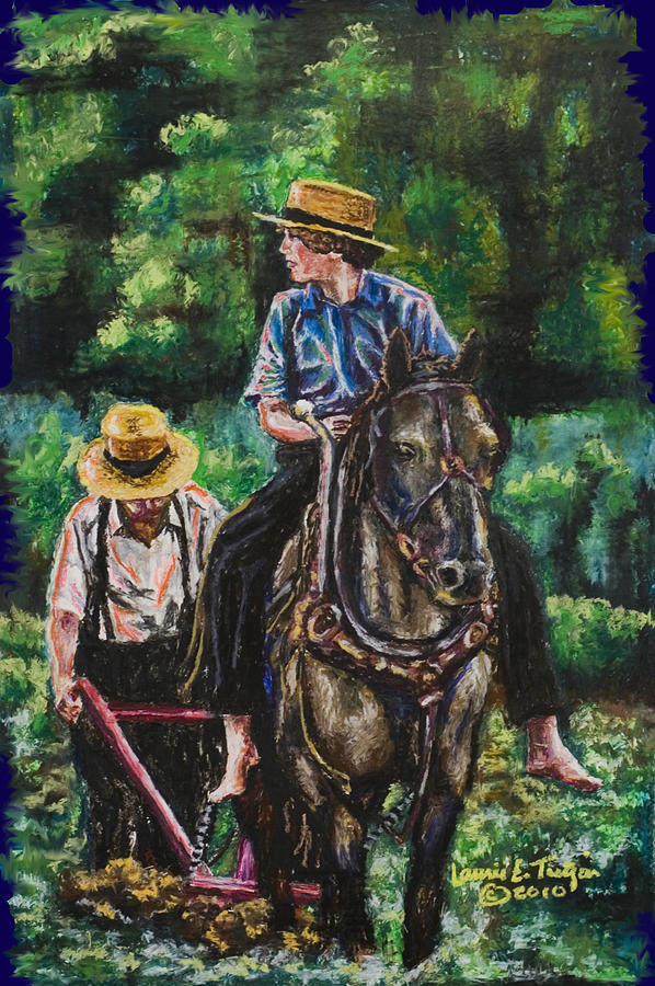 Amish Plowing Pastel by Laurie Tietjen