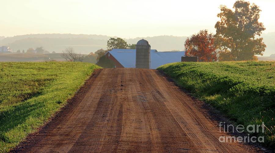 Amish Road at Sunrise 5789 Photograph by Jack Schultz