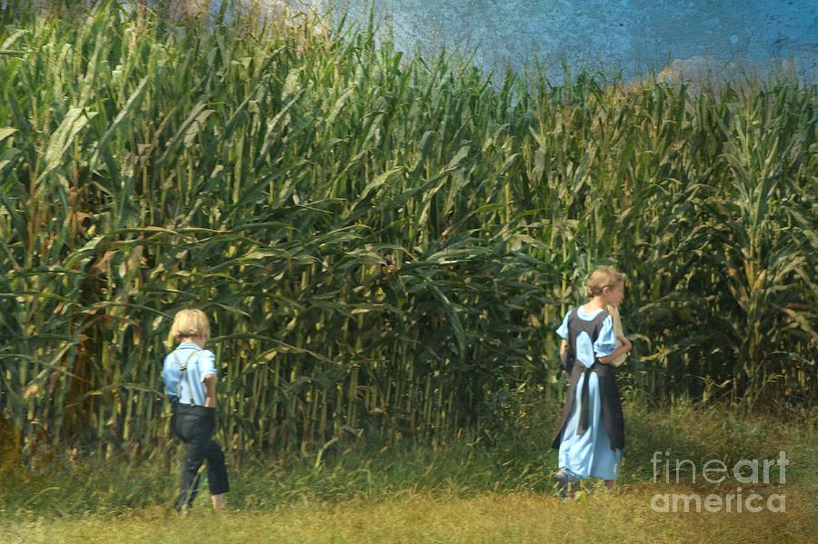 Amish Siblings In Cornfield  Photograph by Beth Ferris Sale