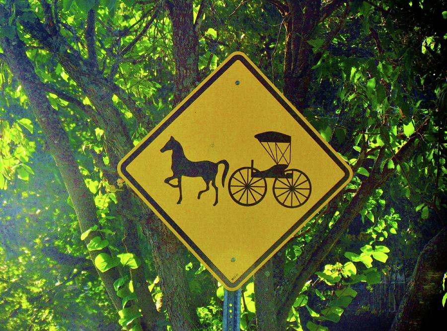 Amish Traffic Sign Photograph by Cynthia Guinn