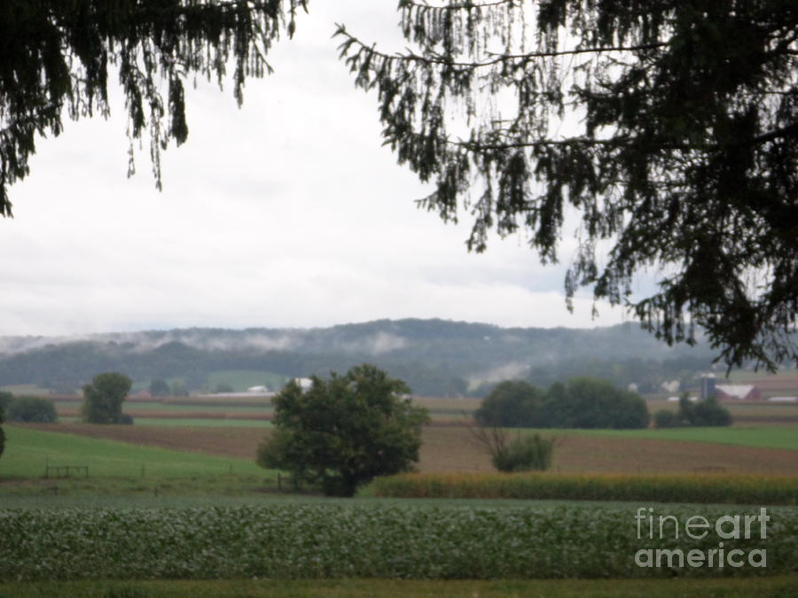 Amish Vista in Early Fall Photograph by Christine Clark