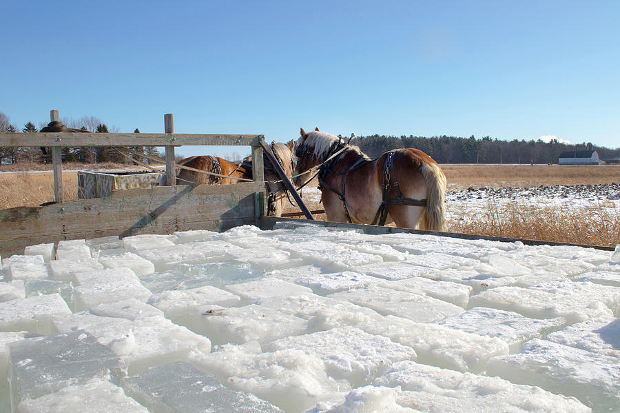Amish Wagon of Ice Photograph by Brook Burling