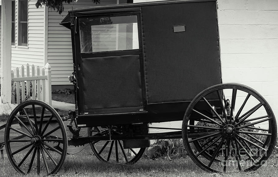 Amish Wagon _PA Photograph by Kathleen K Parker