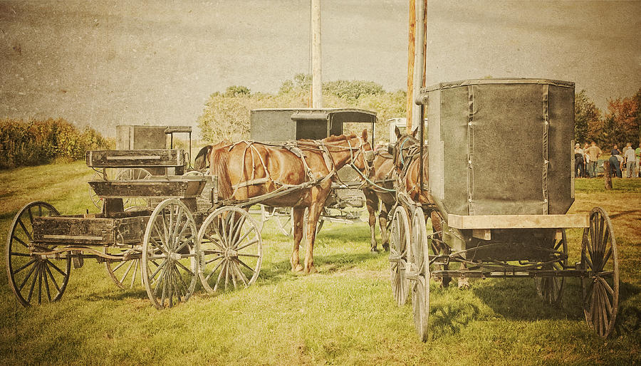 Amish wagons Photograph by Al  Mueller