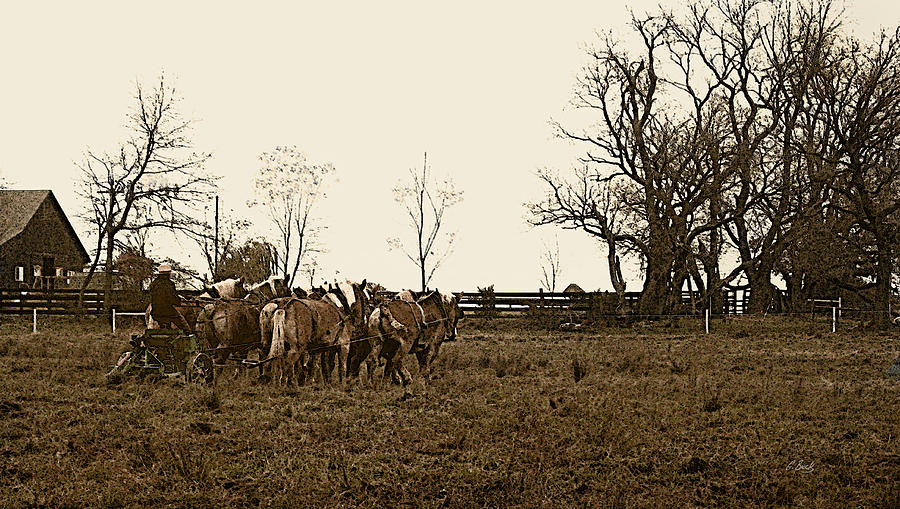 Amish Ways Photograph by Gordon Beck
