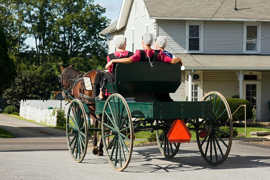 Amish Women Photograph by Sally Weigand