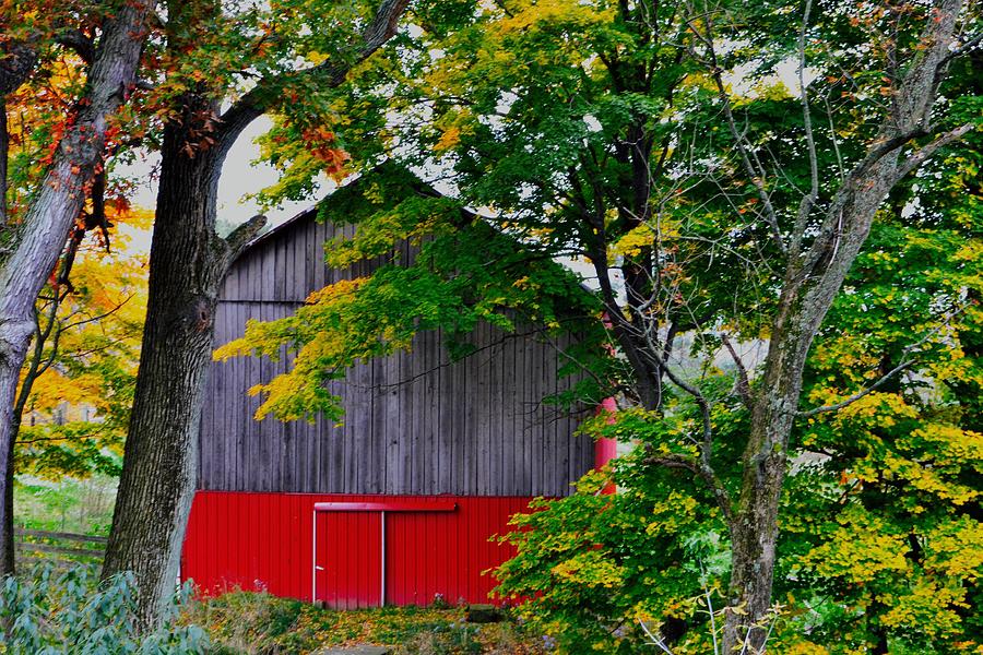Amity Barn in the Fall Photograph by Stacey Willis - Fine Art America