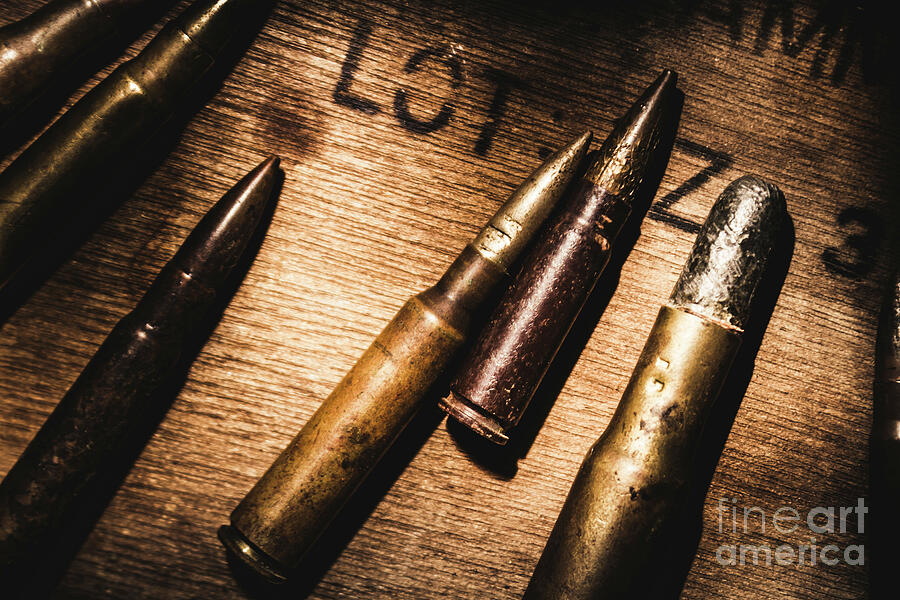 Vintage Photograph - Ammo supplies by Jorgo Photography