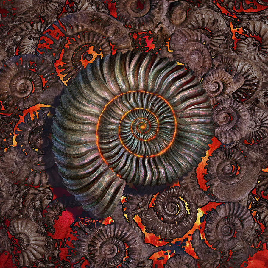 Ammonite Photograph - Ammonite 2 by Jerry LoFaro