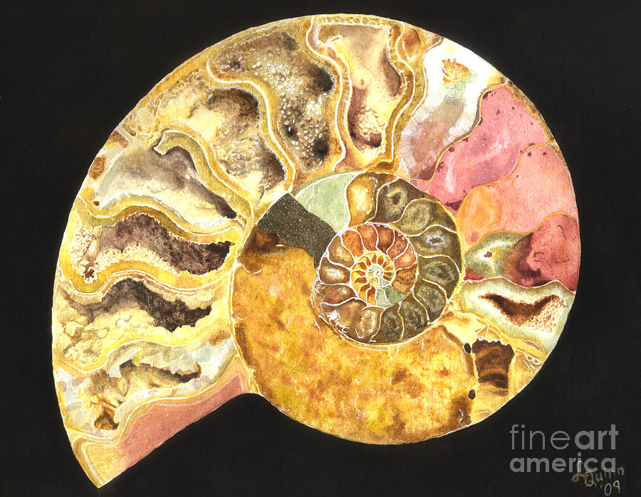 Ammonite Fossil Painting by Lynn Quinn