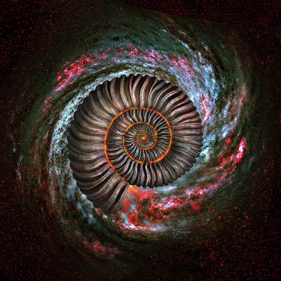 Prehistoric Digital Art - Ammonite Galaxy by Jerry LoFaro