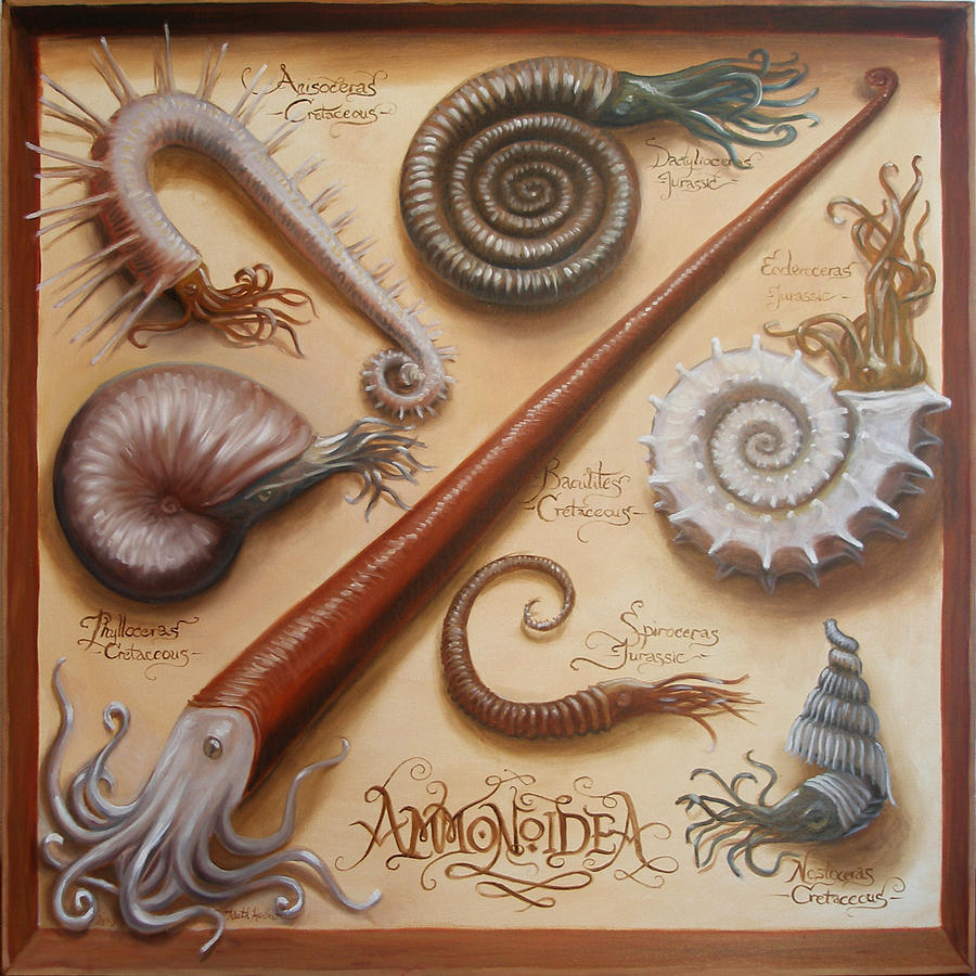Octopus Painting - Ammonoidea by Ruth Hulbert