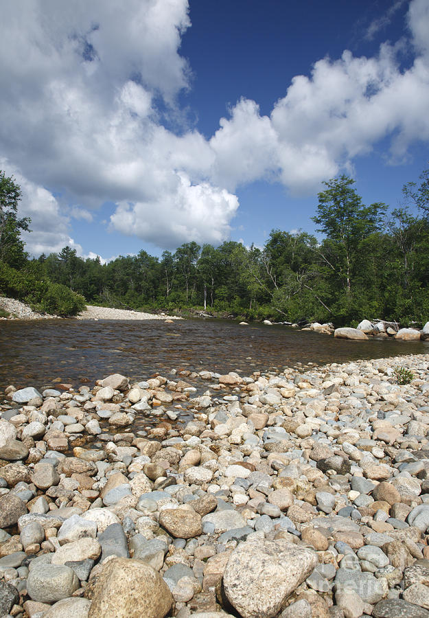 Nature Photograph - Ammonoosuc River  - Carroll New Hampshire USA by Erin Paul Donovan