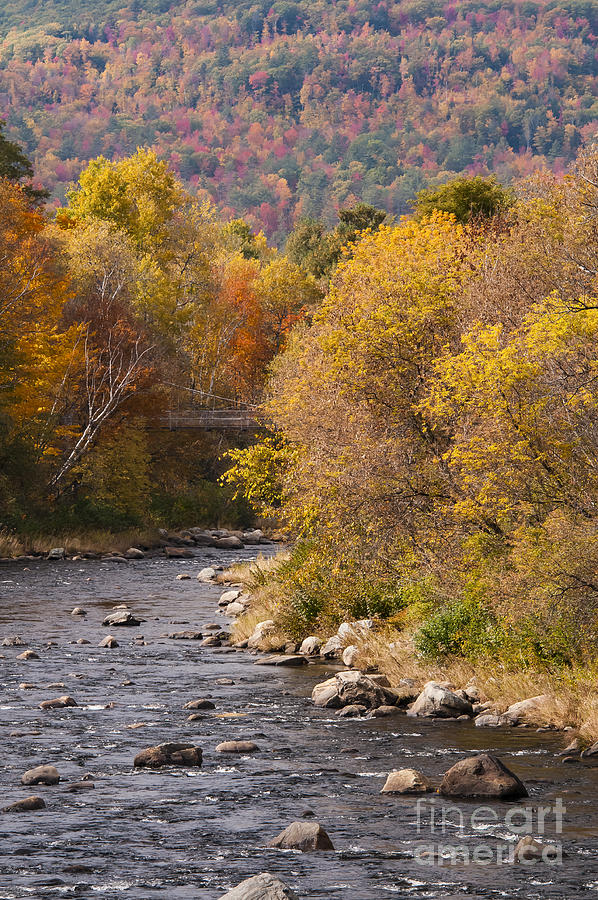 Ammonoosuc River Colors Photograph by Bob Phillips