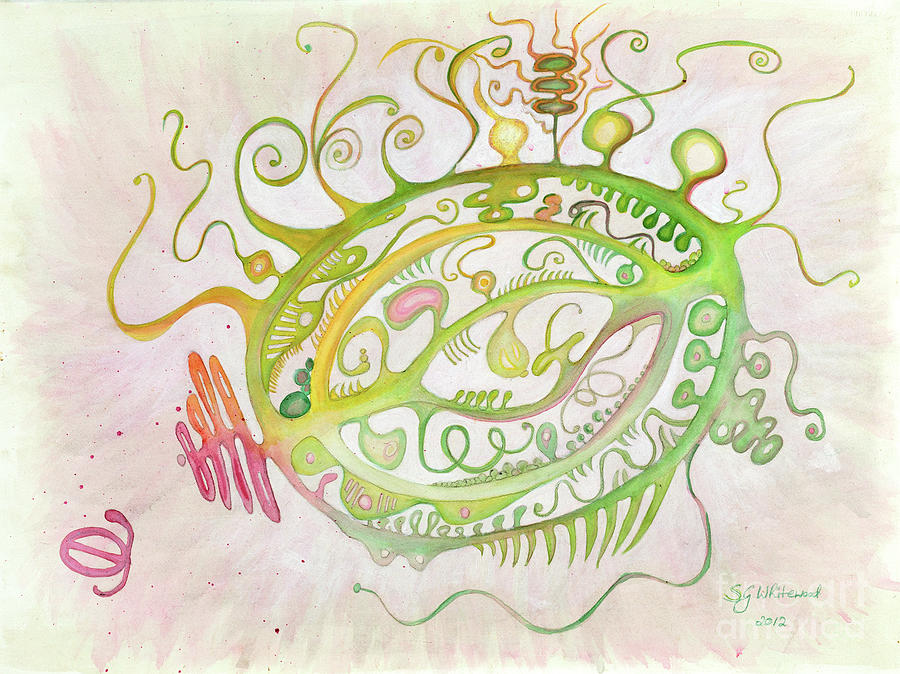 the artful amoeba the artful amoeba