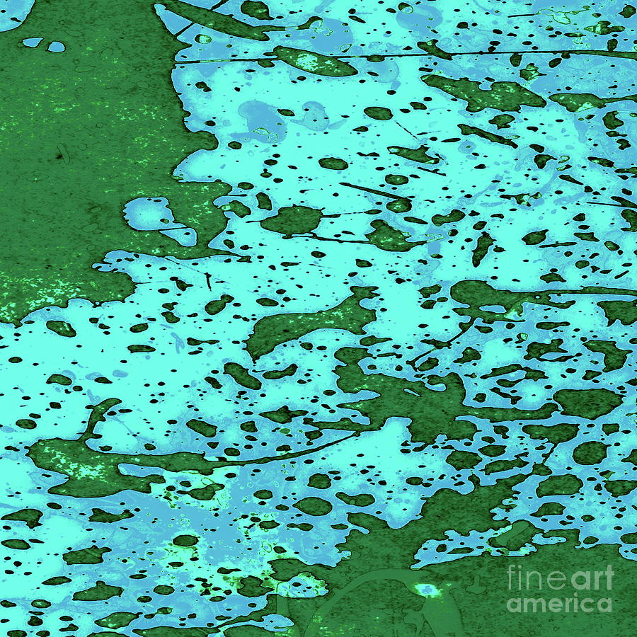 Amoebic Liquid Digital Art by Tim Richards