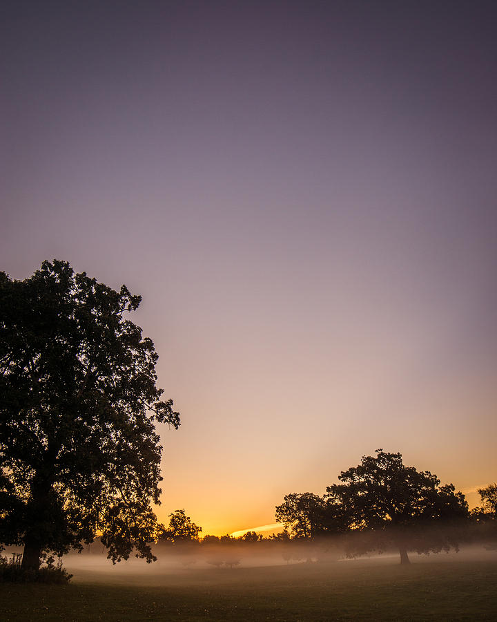Among Mist and Fog Photograph by Chris Bordeleau