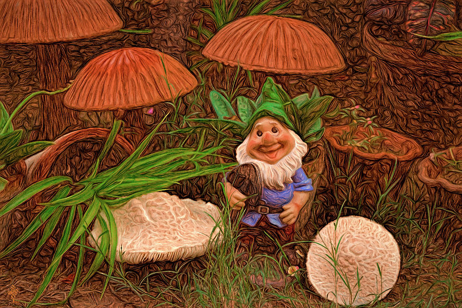 Among Mushrooms Digital Art by Syed Muhammad Munir ul Haq