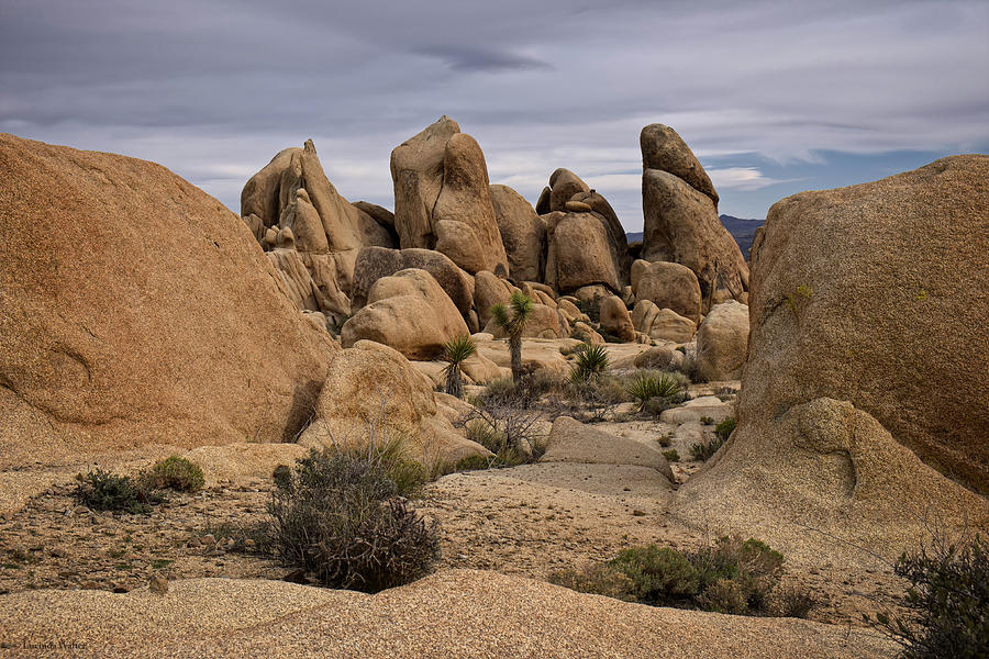 Among The Boulders Photograph by Lucinda Walter