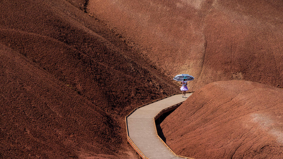 Among the Painted Hills Photograph by Steven Clark