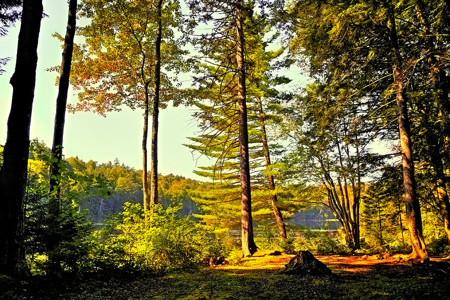 Mountain Photograph - Among the Shadows of Cary Lake by David Patterson