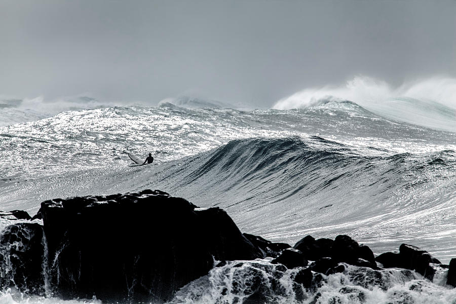 Amongst the elements Photograph by Sean Davey
