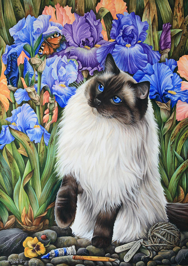 Cat Photograph - Amongst The Irises by MGL Meiklejohn Graphics Licensing