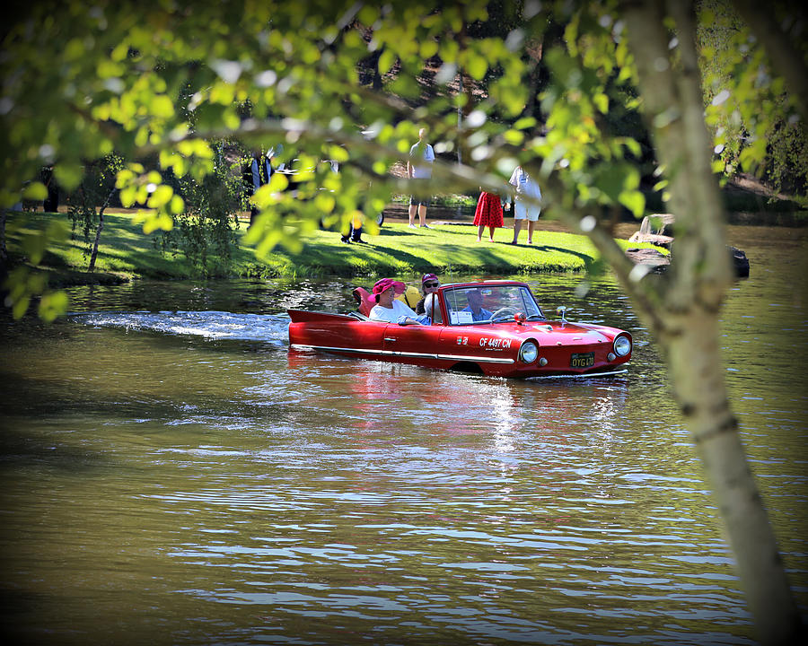 Amphicar Swimming Photograph by Steve Natale