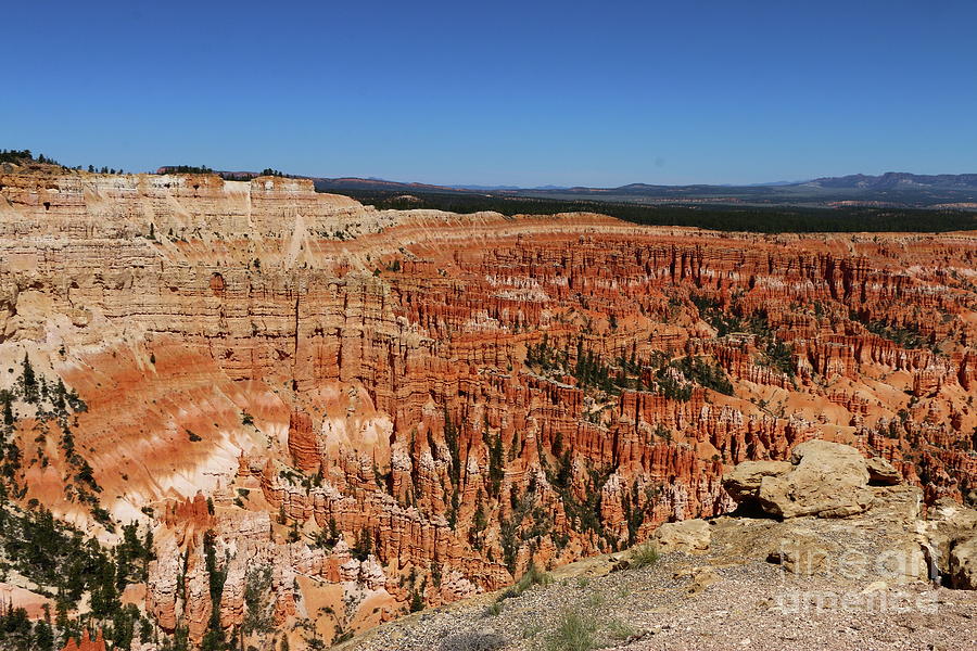 Amphitheater View At Bryce Point Photograph by Christiane Schulze Art And Photography