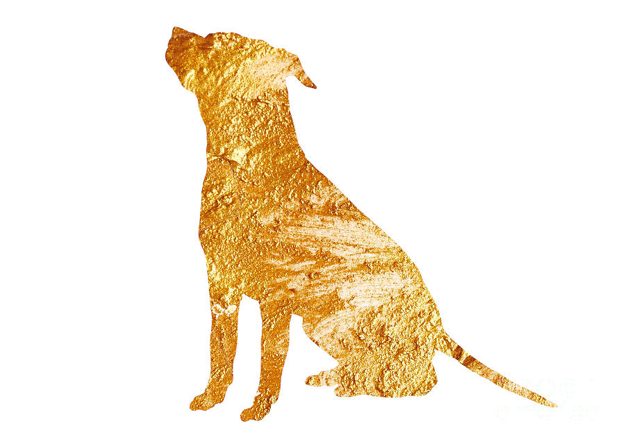 Abstract Painting - Amstaff gold silhouette large poster by Joanna Szmerdt