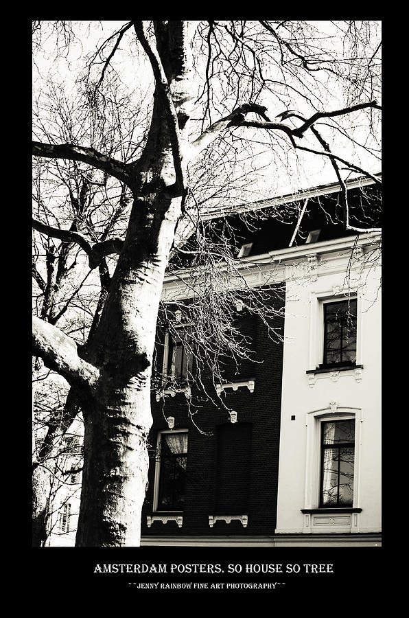 Amsterdam Posters. So House so Tree Photograph by Jenny Rainbow
